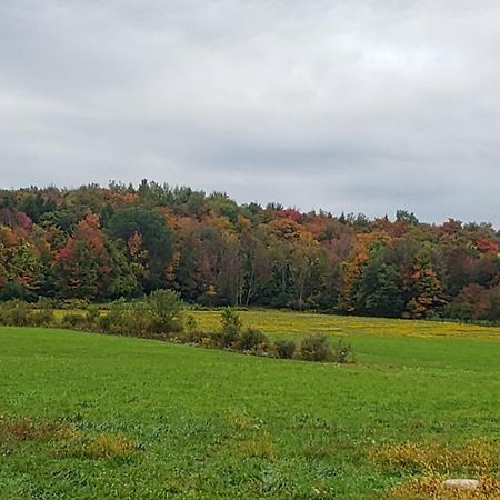 Cozy Country Farm Stay Фрідонія Екстер'єр фото